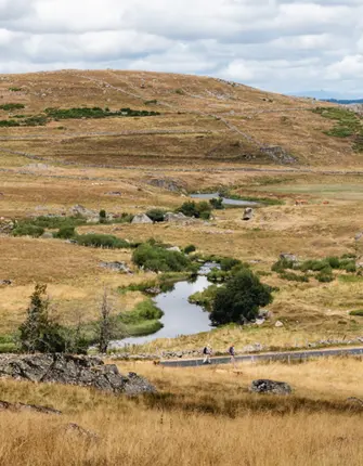 plateau-aubrac