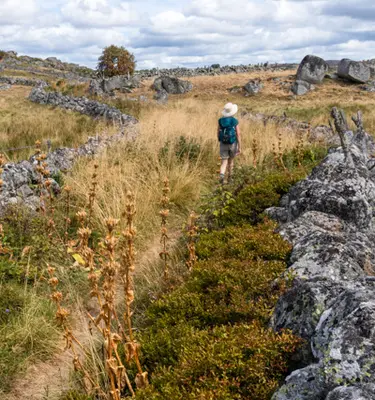 trek-aubrac