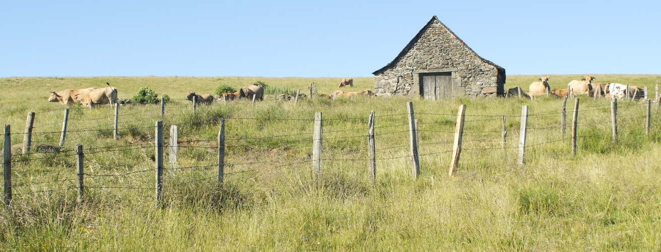tour-aubrac-essentiel