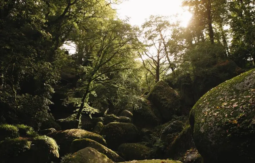 Immersion en terre celtique, forêt d'Huelgoat