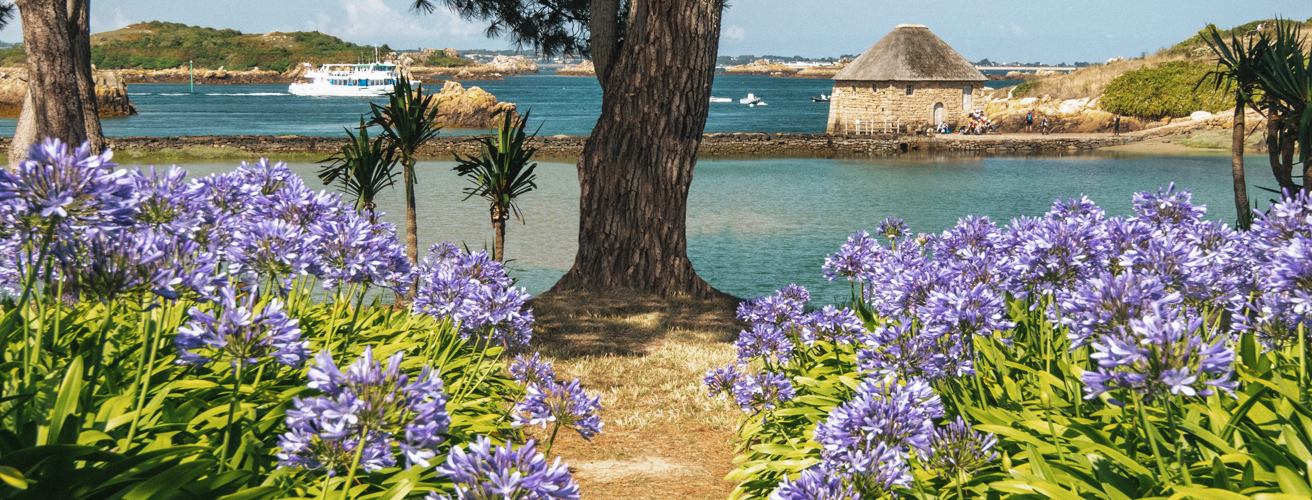 ile-brehat-cote-goelo