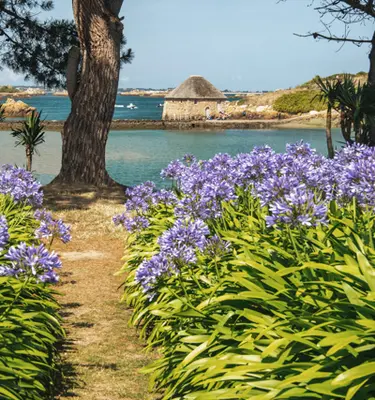 ile-brehat-cote-goelo