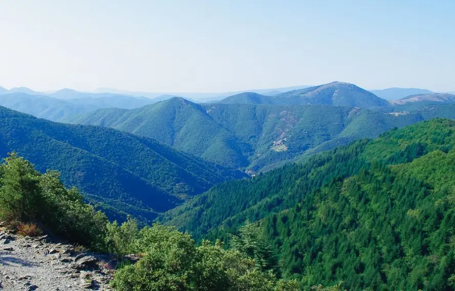 Découverte du Mont Aigoual, panorama sur les Cévennes