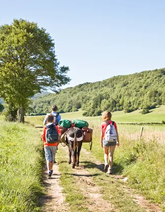 delphotostock-adobestock stevenson-ane