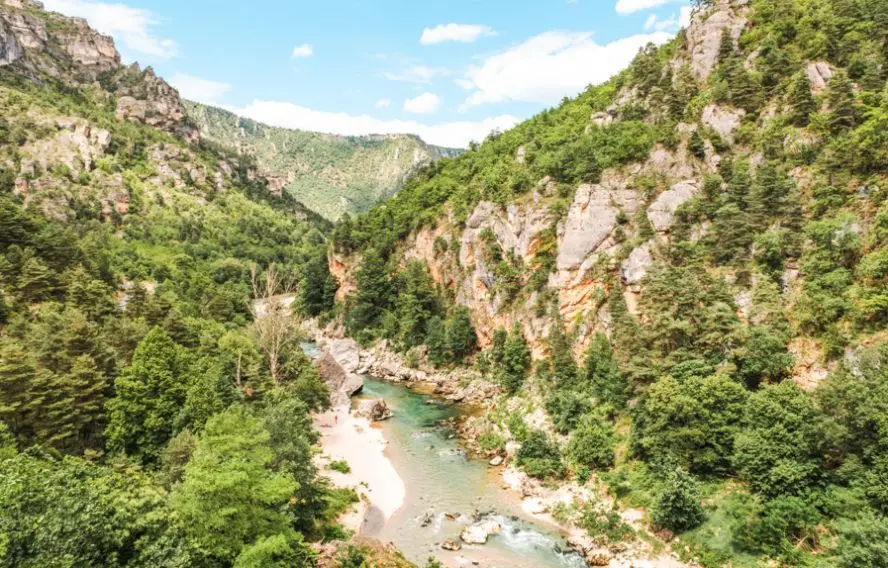 M.Carcel Vue sur l'eau claire du Tarn