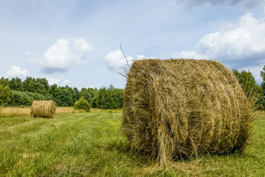 Rafal Karon Unsplash Paysage du Velay