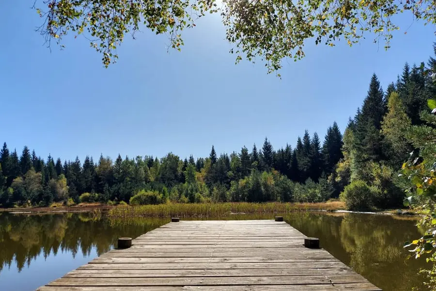 M. Boithas Paysage entre Cheylard et la Bastide