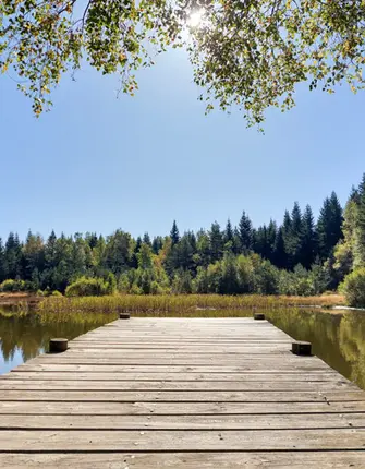 premier-troncon-stevenson