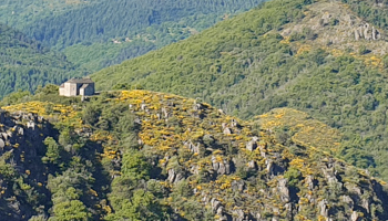 mont-lozere-lac-villefort