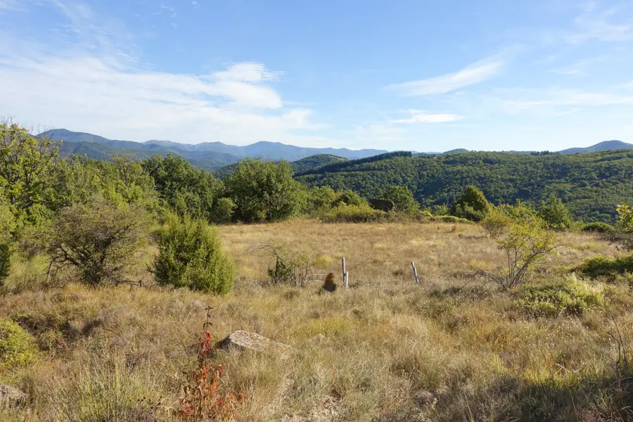 Image Mythique mont Aigoual, Cévennes méridionales
