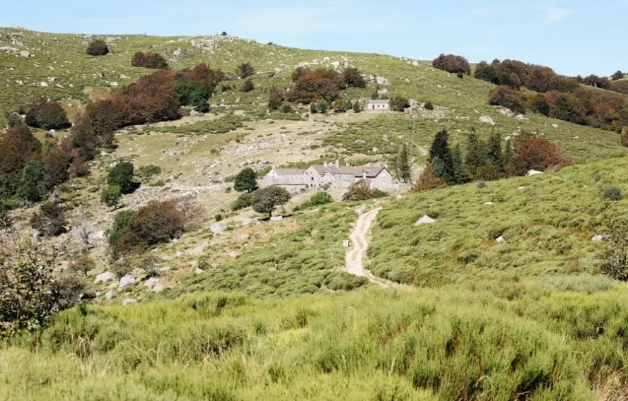 S. Delaunay Montagne du parc national des Cévennes