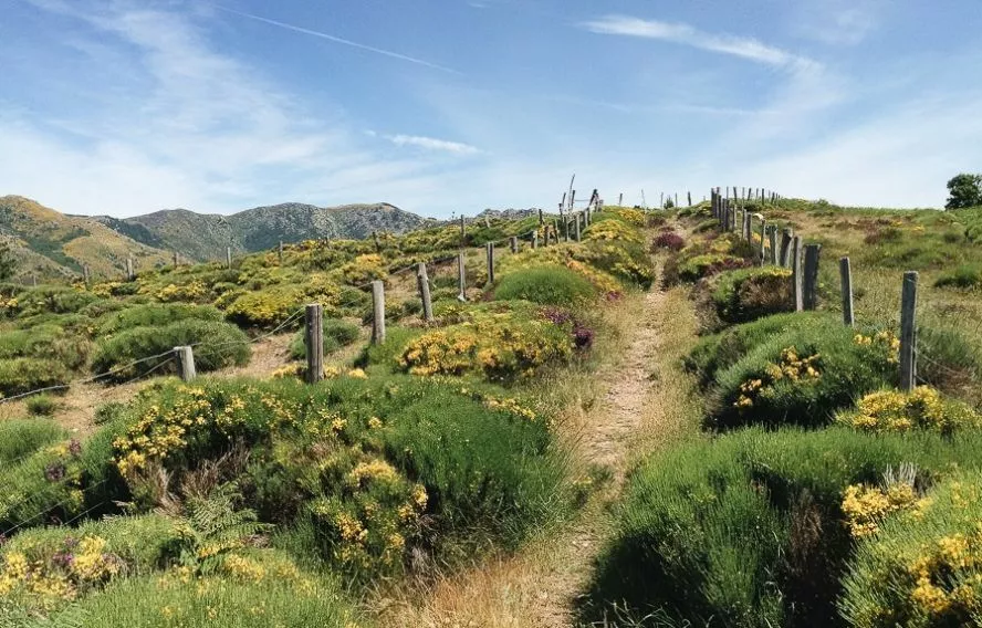Stevenson : de Chasseradès à Saint-Jean-du-Gard