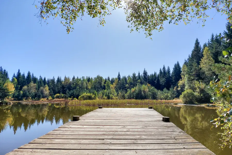M. Boithas Paysage de Cheylard à la Bastide