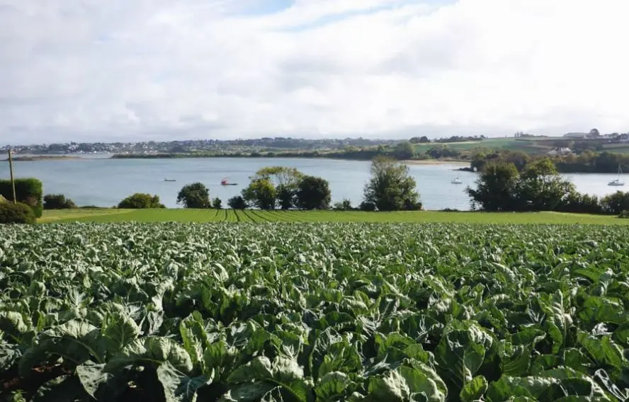 Baie de Carantec, baie de Morlaix