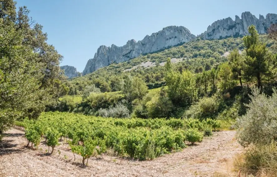 Dentelles Sarrasines ou de Montmirai, col du Crayon, Vaucluse