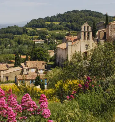 charme-vins-gigondas