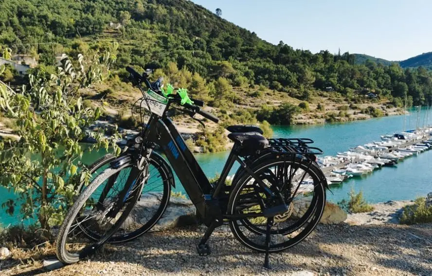 Hop-Hop Hop Stations bee's verdon