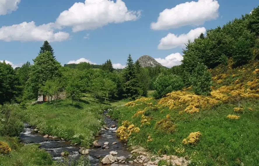Randonnée le long d'une rivière