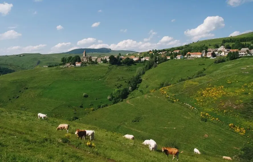 Randonnée sur les Monts d'Ardèche