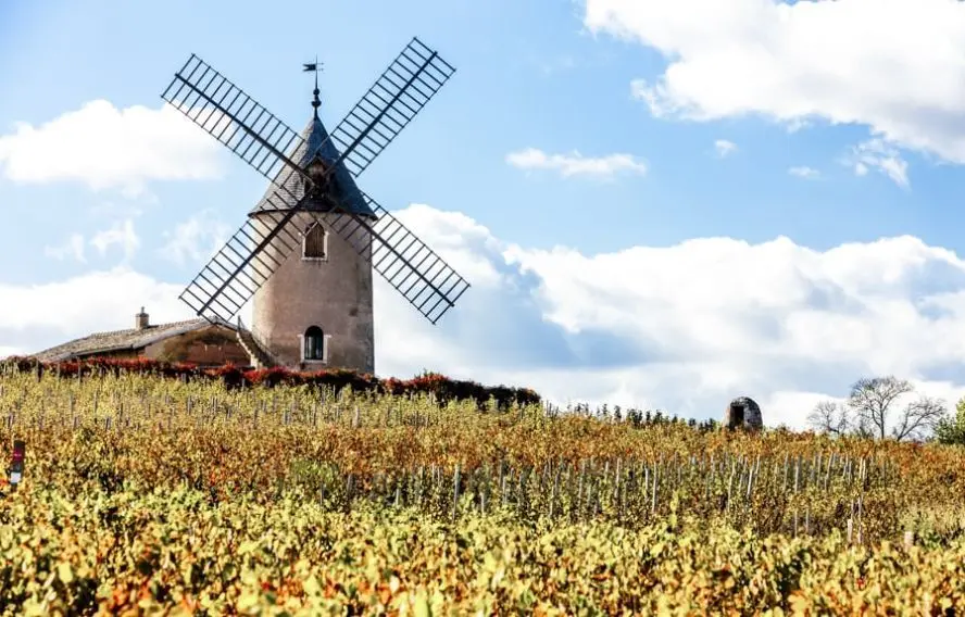 Moulin à vent de Chenas, Beaujolais