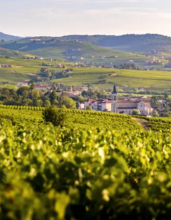 vignobles-beaujolais-fleurie-chiroubles-villie-morgon