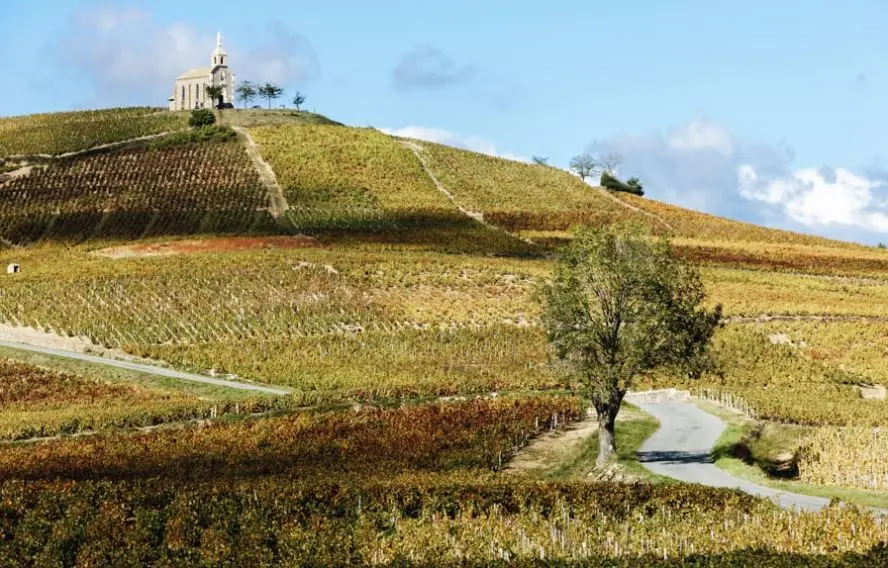 La Madone de Fleurie, vignoble du Beaujolais