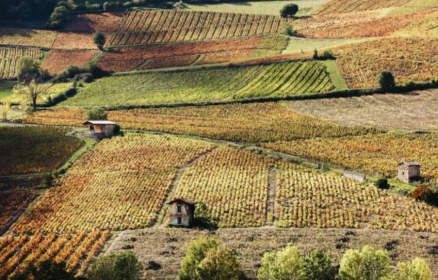 Itinéraire exclusif, l'Intégrale Beaujolaise
