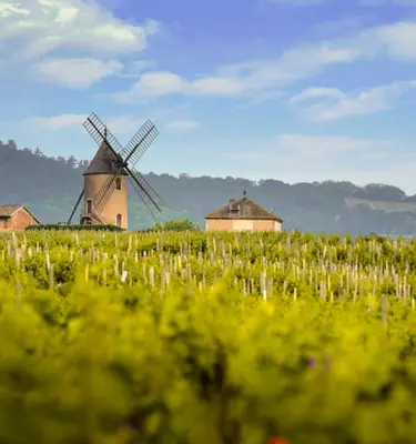 moulin-a-vent-beaujolais