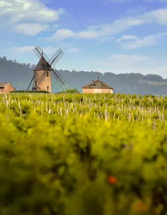 moulin-a-vent-beaujolais
