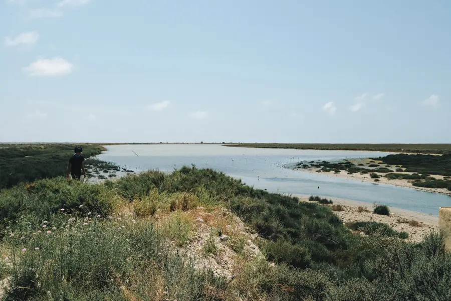 Voyage à vélo - France : La Camargue à vélo