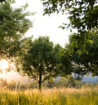 sejour-initiation-permaculture