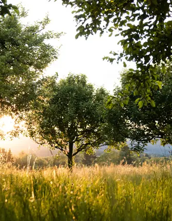 sejour-initiation-permaculture