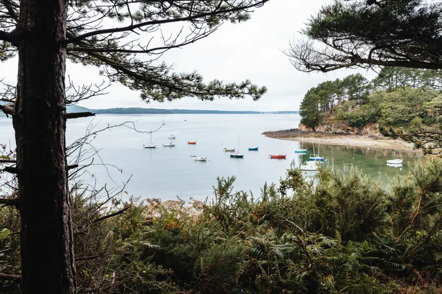 Anse Hopital Camfrout