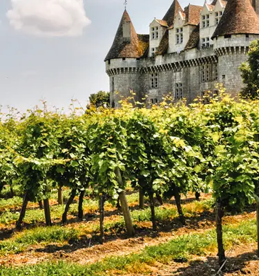 chateau-monbazillac-dordogne