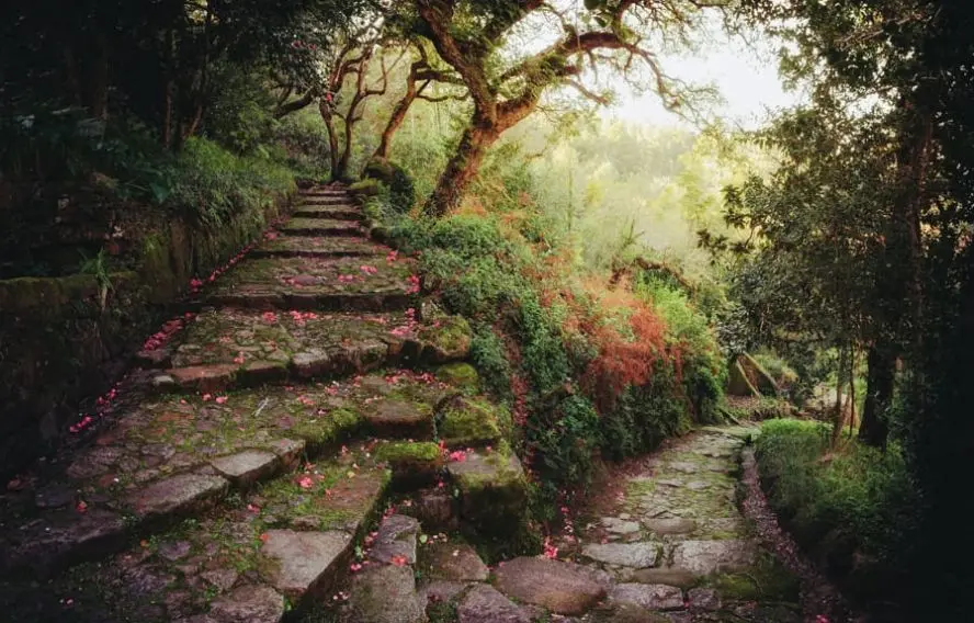 A. Cristiano Sintra, le parc et les jardins botaniques