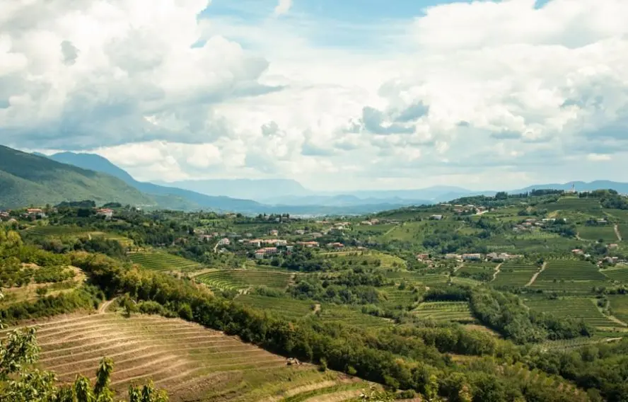 Region viticole de Brda, Dobrovo