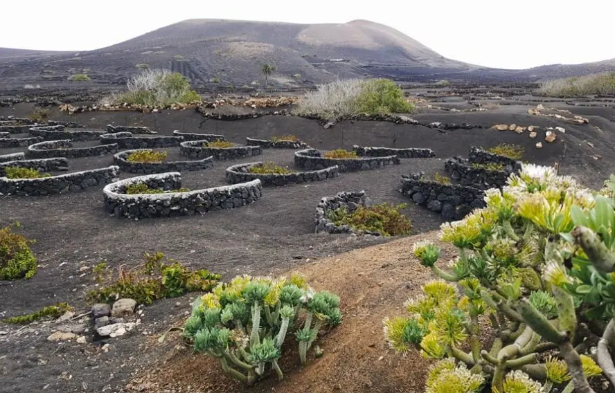 Trek - Espagne : Lanzarote et La Graciosa