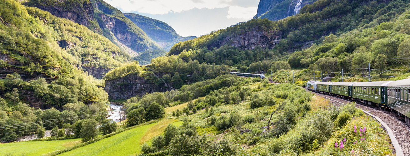 train-du-flam-sognefjord