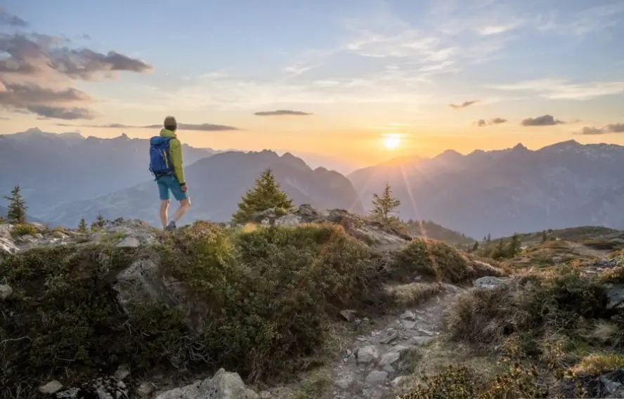 Netzer Johannes AdobeStock