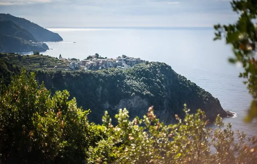 Les Cinque Terre en randonnée