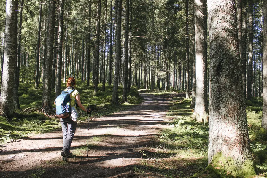 Image Rando verte en Forêt Noire