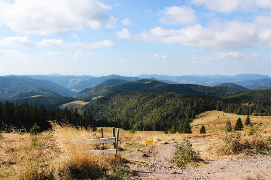 Trek - Allemagne : Rando verte en Forêt Noire