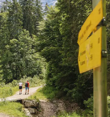 rando-verte-foret-noir