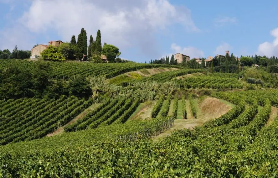 Vignoble et campagne du Chianti