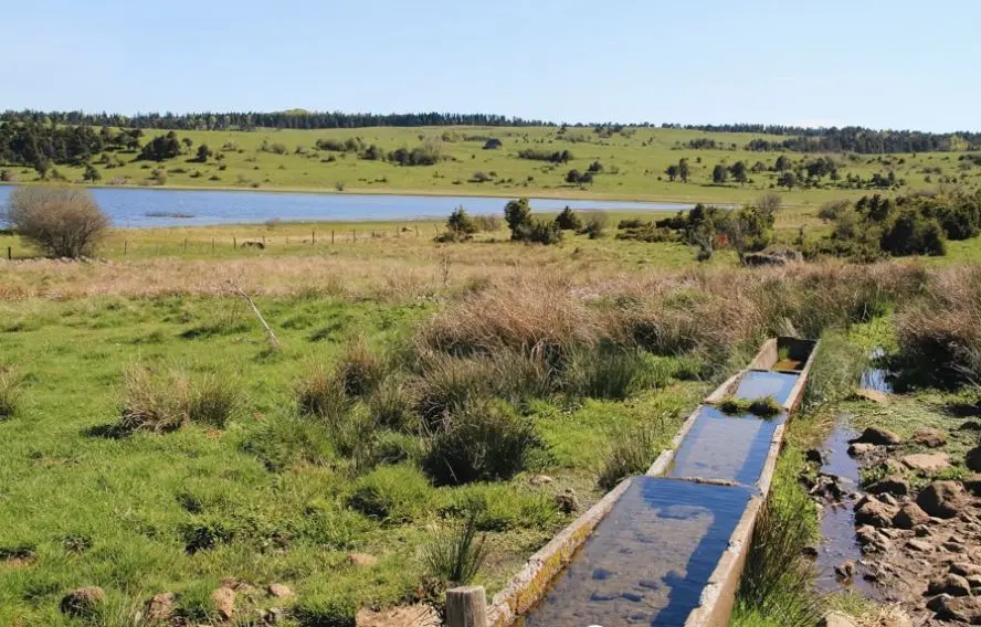 Tourbières du lac Pêcher, Cantal