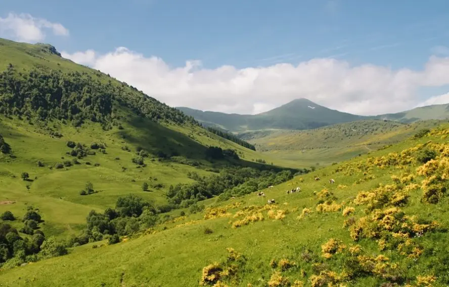 Volcans du Cantal randonnée à Laveissière