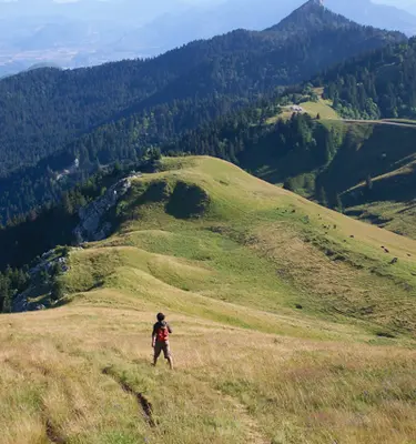 alpes-chartreuse-acc