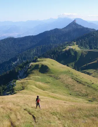 alpes-chartreuse-acc