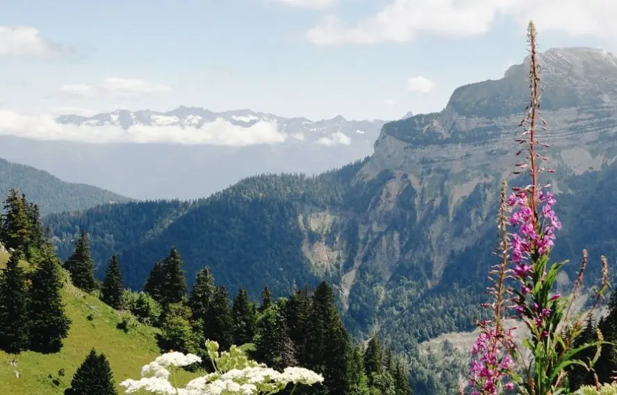 Trek - France : Bellecombe, séjour pédestre