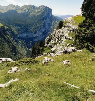 alpes-chartreuse-sejour-bellecombe